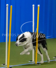 1-18-25-Kathy-W-Seminar-616