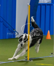 1-18-25-Kathy-W-Seminar-617