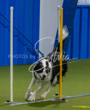 1-18-25-Kathy-W-Seminar-618