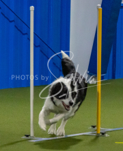 1-18-25-Kathy-W-Seminar-619