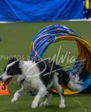 1-18-25-Kathy-W-Seminar-622