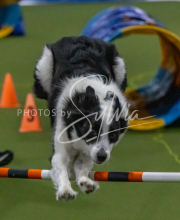 1-18-25-Kathy-W-Seminar-623