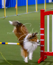 1-18-25-Kathy-W-Seminar-65