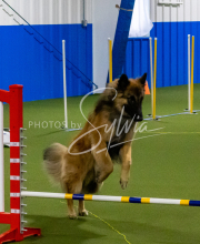 1-18-25-Kathy-W-Seminar-69