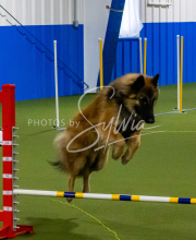 1-18-25-Kathy-W-Seminar-70