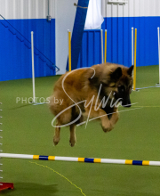 1-18-25-Kathy-W-Seminar-71