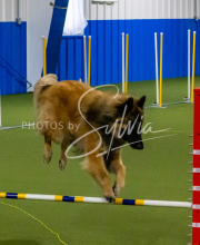 1-18-25-Kathy-W-Seminar-72