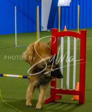 1-18-25-Kathy-W-Seminar-76