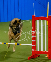 1-18-25-Kathy-W-Seminar-77