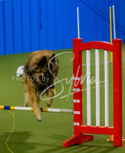 1-18-25-Kathy-W-Seminar-78