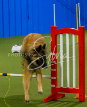 1-18-25-Kathy-W-Seminar-79