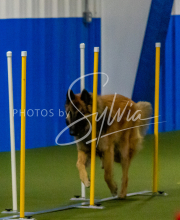 1-18-25-Kathy-W-Seminar-81