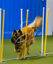 1-18-25-Kathy-W-Seminar-89