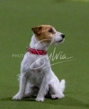 1-18-25-Kathy-W-Seminar-95