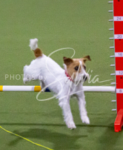 1-18-25-Kathy-W-Seminar-99