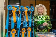 2026-3-14 AADTC Scent Work Saturday