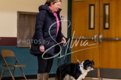 1_26-3-14-Scent-Work-10