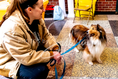 1_26-3-14-Scent-Work-1059