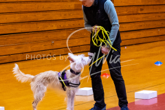 1_26-3-14-Scent-Work-110