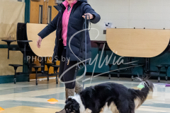 1_26-3-14-Scent-Work-19