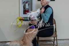 1_26-3-14-Scent-Work-239