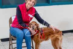 1_26-3-14-Scent-Work-240