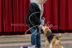 1_26-3-14-Scent-Work-249