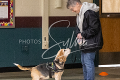 1_26-3-14-Scent-Work-251