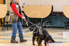 1_26-3-14-Scent-Work-260