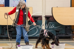 1_26-3-14-Scent-Work-264