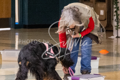 1_26-3-14-Scent-Work-278