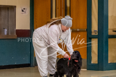 1_26-3-14-Scent-Work-28