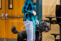 1_26-3-14-Scent-Work-294