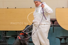 1_26-3-14-Scent-Work-33