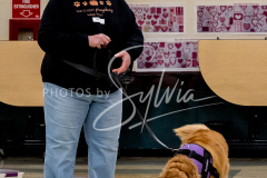 1_26-3-14-Scent-Work-333