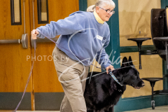 1_26-3-14-Scent-Work-341