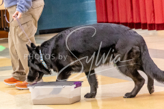 1_26-3-14-Scent-Work-352