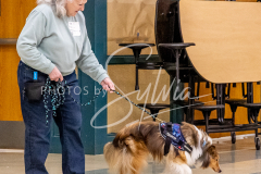 1_26-3-14-Scent-Work-359