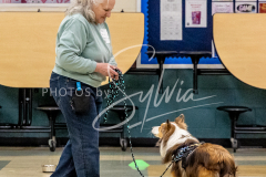 1_26-3-14-Scent-Work-363