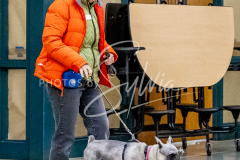 1_26-3-14-Scent-Work-382