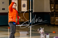 1_26-3-14-Scent-Work-401