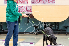 1_26-3-14-Scent-Work-413