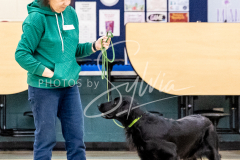 1_26-3-14-Scent-Work-415