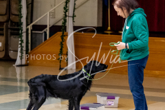 1_26-3-14-Scent-Work-417