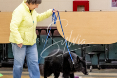 1_26-3-14-Scent-Work-455