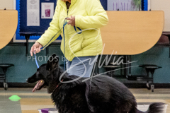 1_26-3-14-Scent-Work-469