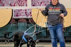 1_26-3-14-Scent-Work-482