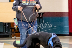 1_26-3-14-Scent-Work-486