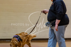 1_26-3-14-Scent-Work-536