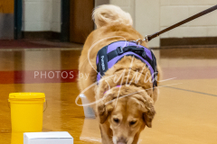 1_26-3-14-Scent-Work-539